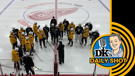 DK's Daily Shot of Penguins: A good group taken in Downtown (Podcasts)